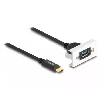 DeLOCK Easy 45 modulis SuperSpeed USB 10 Gbps USB Type-A moteriškas prie USB Type-C vyriškas