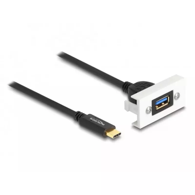 DeLOCK Easy 45 modulis SuperSpeed USB 10 Gbps USB Type-A moteriškas prie USB Type-C vyriškas
