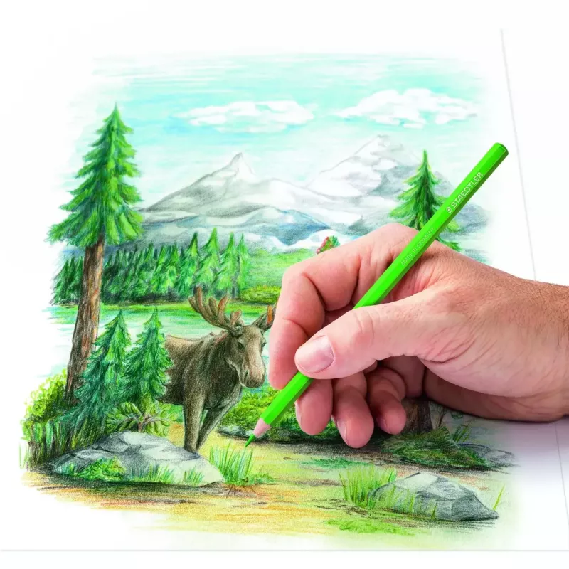 Spalvoti pieštukai Staedtler 146C Multicolour 72 vnt.