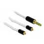 Garso laidas DeLOCK 85846 1,2 m 4,4 mm 2x MMCX baltas