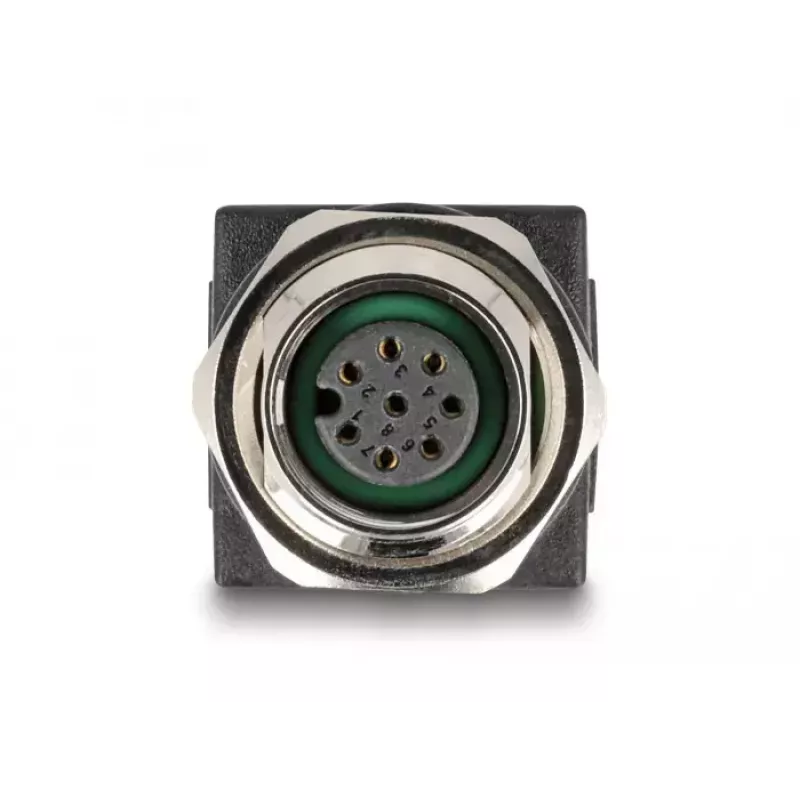 DeLOCK M12 adapteris A-koduotas 8 kontaktų moteriškas į RJ45 lizdą tiesus