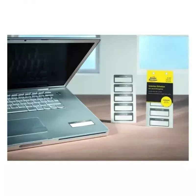 Lipni etiketė stačiakampė Avery 6905
