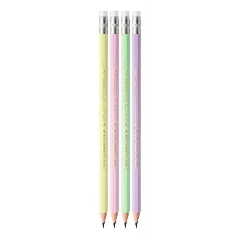 Pieštukų rinkinys TEKA BIC Evolution HB, šešiakampiai mediniai pieštukai, 12 vnt., įvairių spalvų