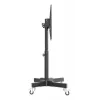 Manhattan žemo profilio mobilus stovas televizoriui ir monitoriui, 37–65 col., VESA 200x200–600x400 mm, 40 kg, 45° pakreipimas