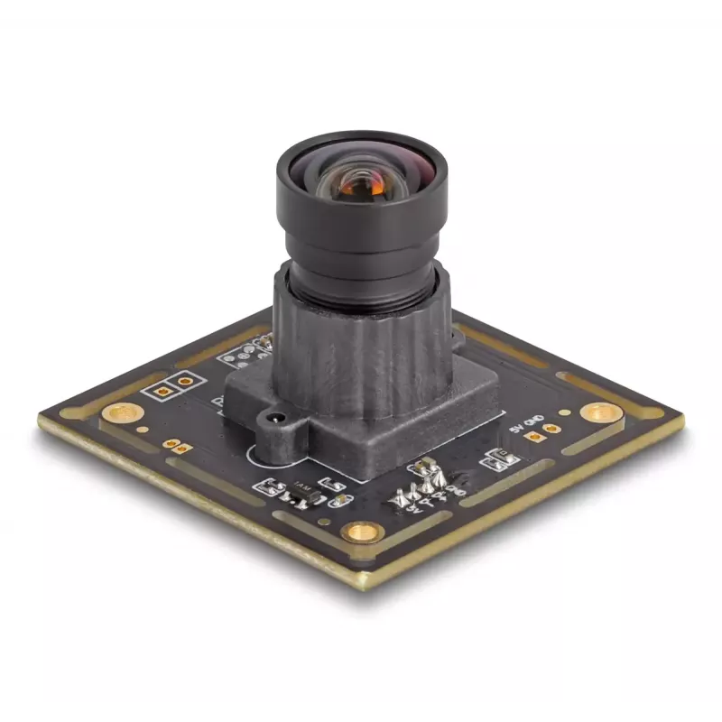 Web kamera DeLOCK 12072 2,1 MP 1920 x 1080 USB 2.0 Juoda