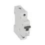 Legrand RX3 automatinis jungiklis Miniatiūrinis jungiklis B tipo 1