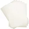 Laminavimo maišeliai DAHLE A3 303x426 mm 160 µm (2x80 µm) – pakuotė po 100 vnt.