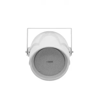 Garsiakalbis Omnitronic 80710374 baltas laidinis 30 W