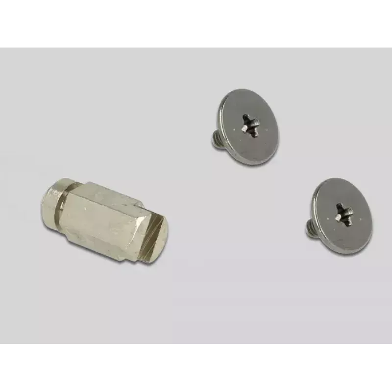Vidinis M.2 adapteris DeLOCK 65699