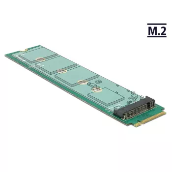 Vidinis M.2 adapteris DeLOCK 65699