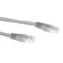 ACT 0,25 m LSZH U/UTP CAT6A patch laidas su RJ45 jungtimis, pilka