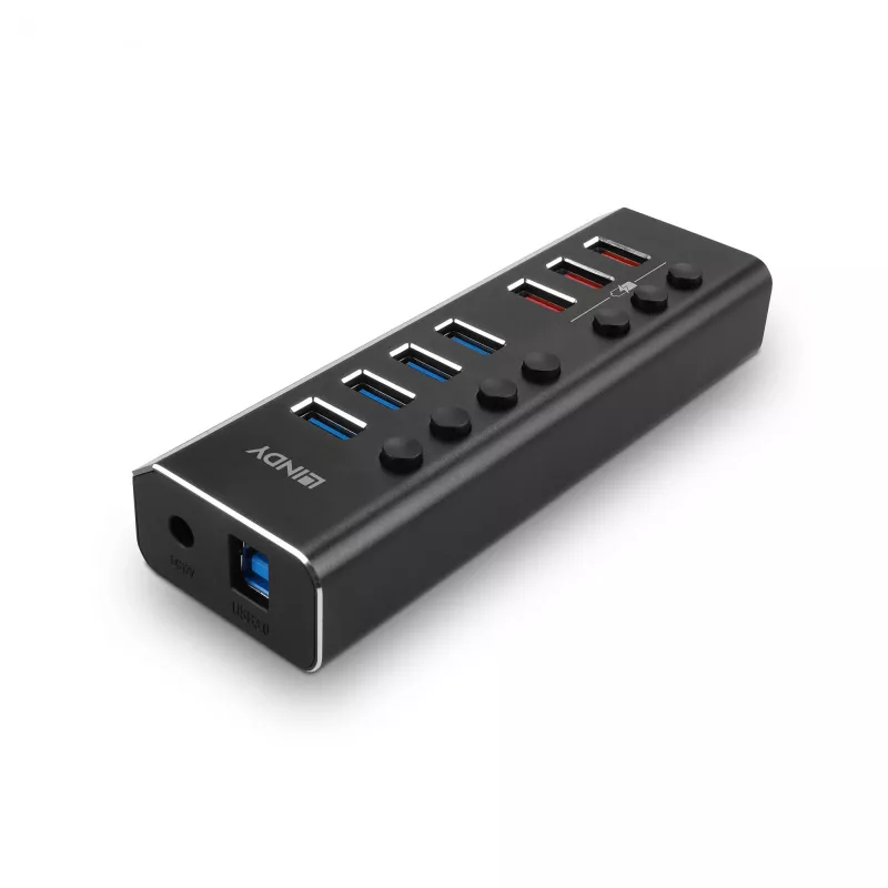 Lindy 4 prievadų USB 3.0 šakotuvas su 3 Quick Charge 3.0 prievadais