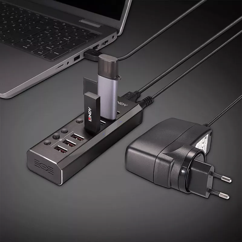 Lindy 4 prievadų USB 3.0 šakotuvas su 3 Quick Charge 3.0 prievadais