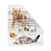 Stovas žurnalams HERMA Stehsammler Katzen A4 Geltona