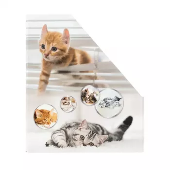 Stovas žurnalams HERMA Stehsammler Katzen A4 Geltona