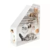 Stovas žurnalams HERMA Stehsammler Katzen A4 Geltona