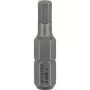Antgalis atsuktuvui Bosch 2 607 001 724 4 mm Security hex 3 vnt.