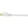 Tinklo kabelis Renkforce RF-4149858 0,25 m Cat6a S/FTP pilkas