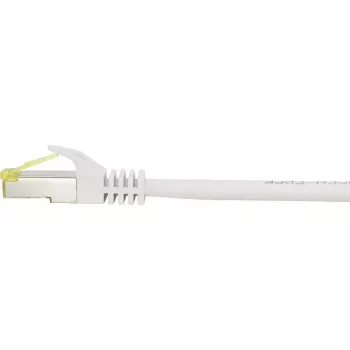 Tinklo kabelis Renkforce RF-4149858 0,25 m Cat6a S/FTP pilkas