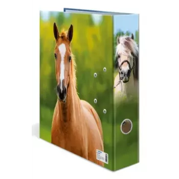 Segtuvas A4 Herma 20097 — kartoninis aplankalas su segtuvu, A4 formatas, vienetinis