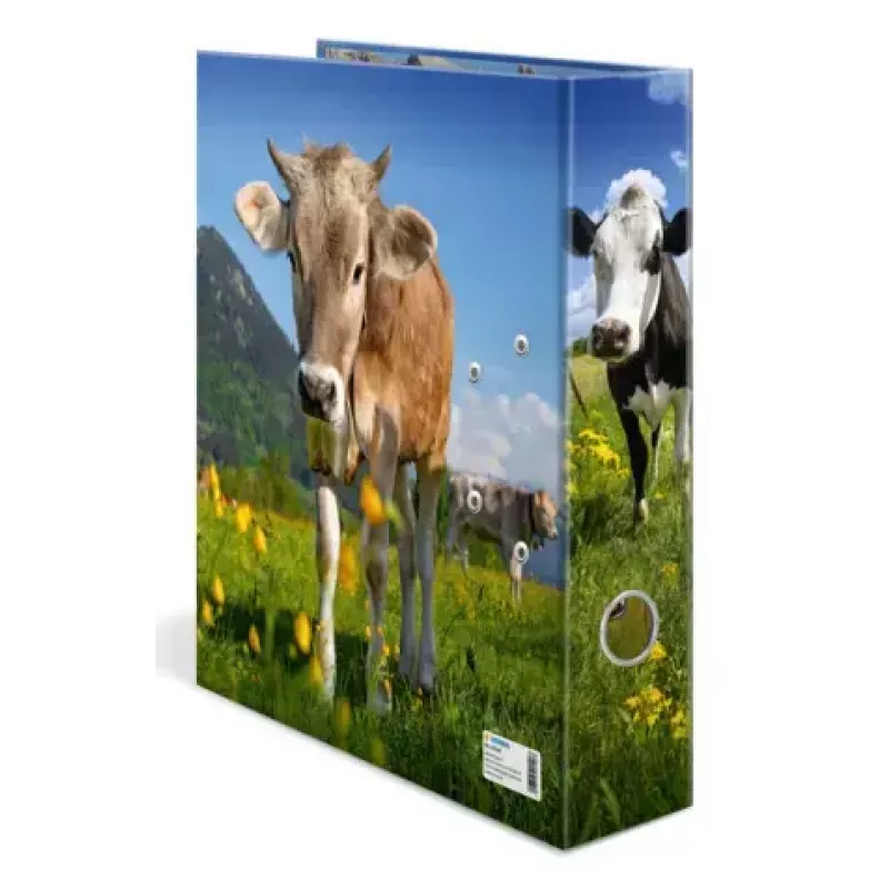 Segtuvas A4 Herma 20140, kartoninis, įvairiaspalvis