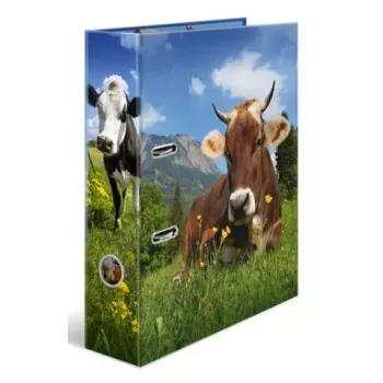 Segtuvas A4 Herma 20140, kartoninis, įvairiaspalvis