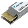 Tinklo siųstuvas-imtuvas BlueOptics PAN-QSFPDD-400GBASE-SR8-BO QSFP-DD 400 Gbit/s 850 nm LC 100 m