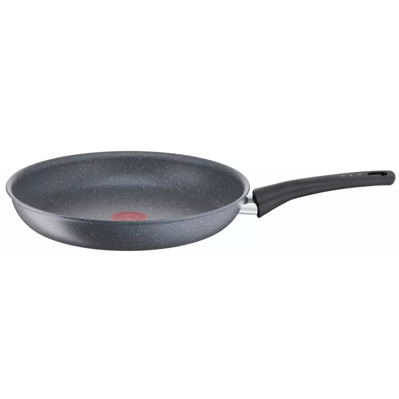 Universali keptuvė Tefal Healthy Chef G15002 20 cm pilka