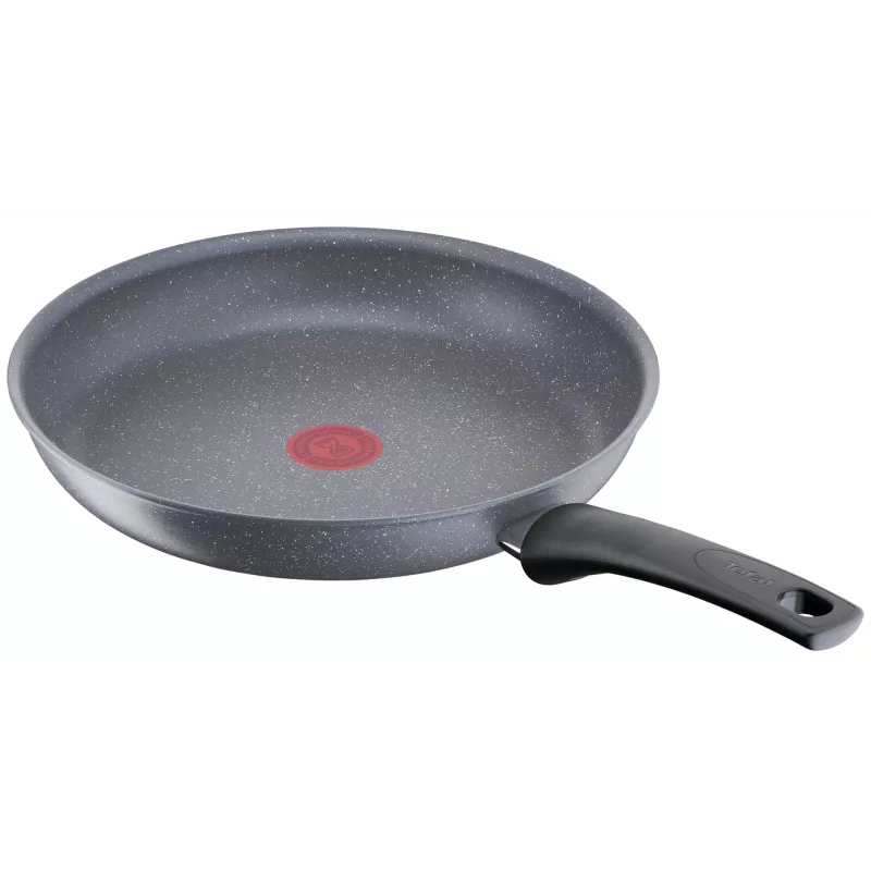 Universali keptuvė Tefal Healthy Chef G15002 20 cm pilka