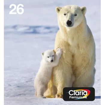 Epson Polar bear Multipack 4 spalvos 26 EasyMail, standartinė talpa, juoda, žydra, purpurinė, geltona