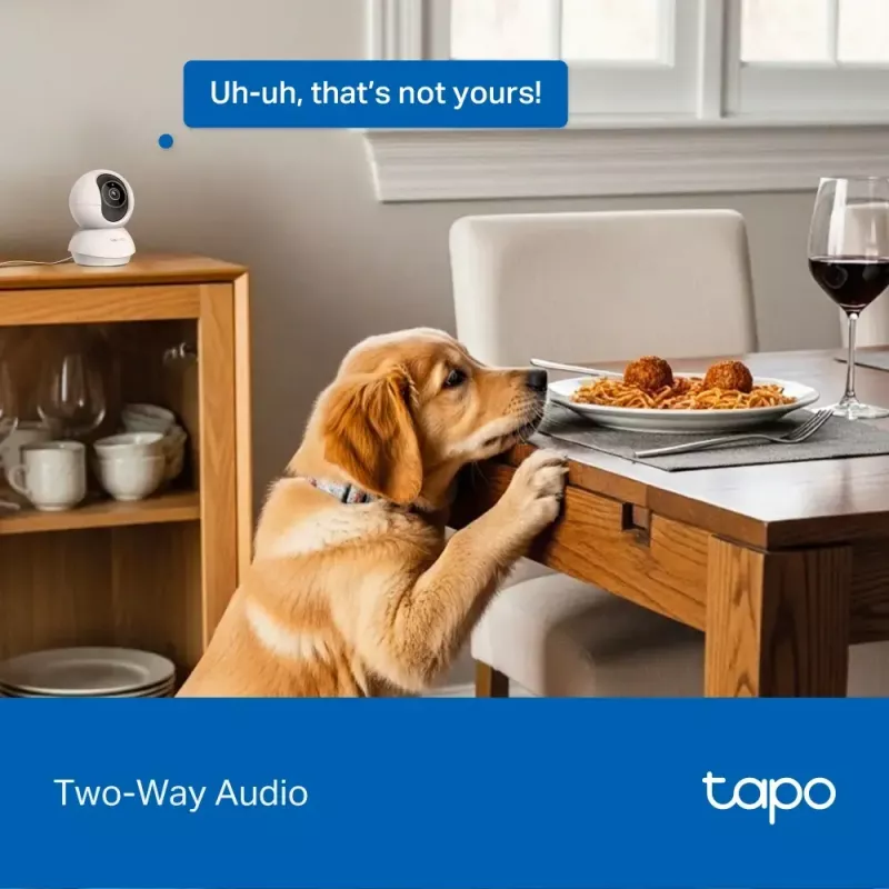 TP-LINK Tapo C250 PTZ 8MP 4K namų apsaugos Wi-Fi kamera su AI ir naktiniu matymu
