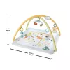 Fisher-Price Sensimals Simply Senses Newborn Gym – kūdikių kilimėlis su 6 sensoriniais žaislais