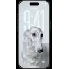 Išmanusis telefonas Apple iPhone 17 Pro 6,3 colio 1TB Giliai mėlyna
