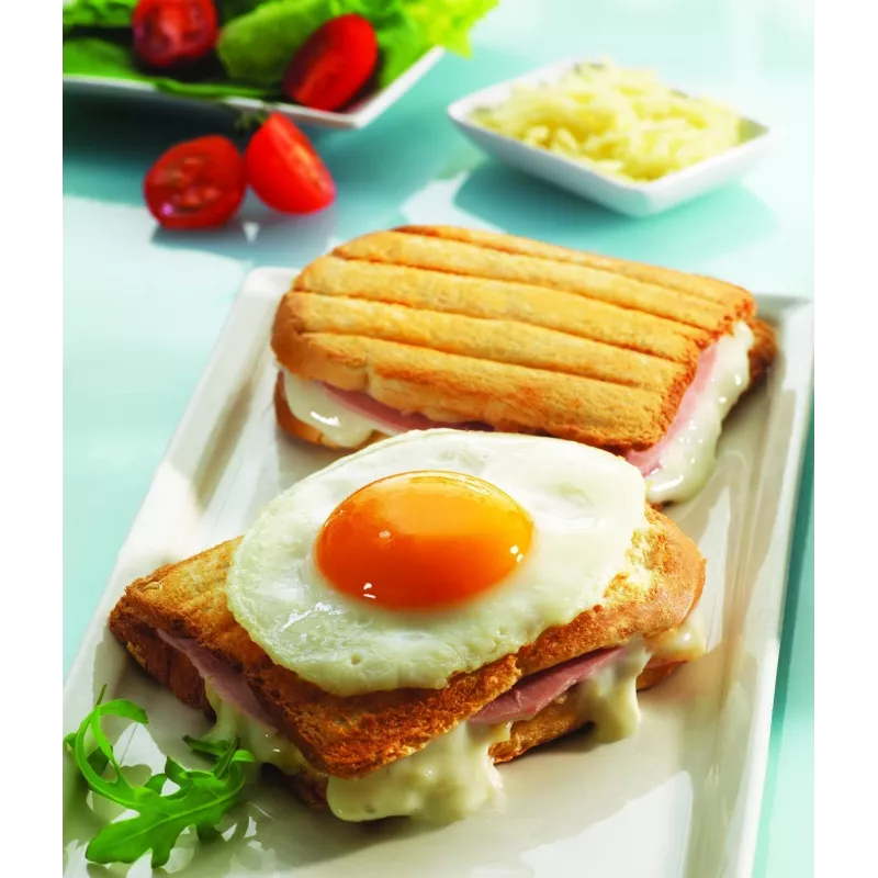 Pakeitimo plokštės Tefal XA800112, skirtos Snack Collection/SnackTime – juodos, 242×155×44 mm, 2 vnt. pakuotė