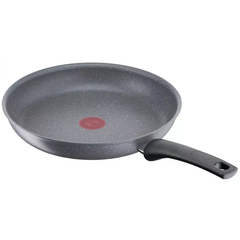 Universali keptuvė Tefal Healthy Chef G15004 apvali 24 cm pilka