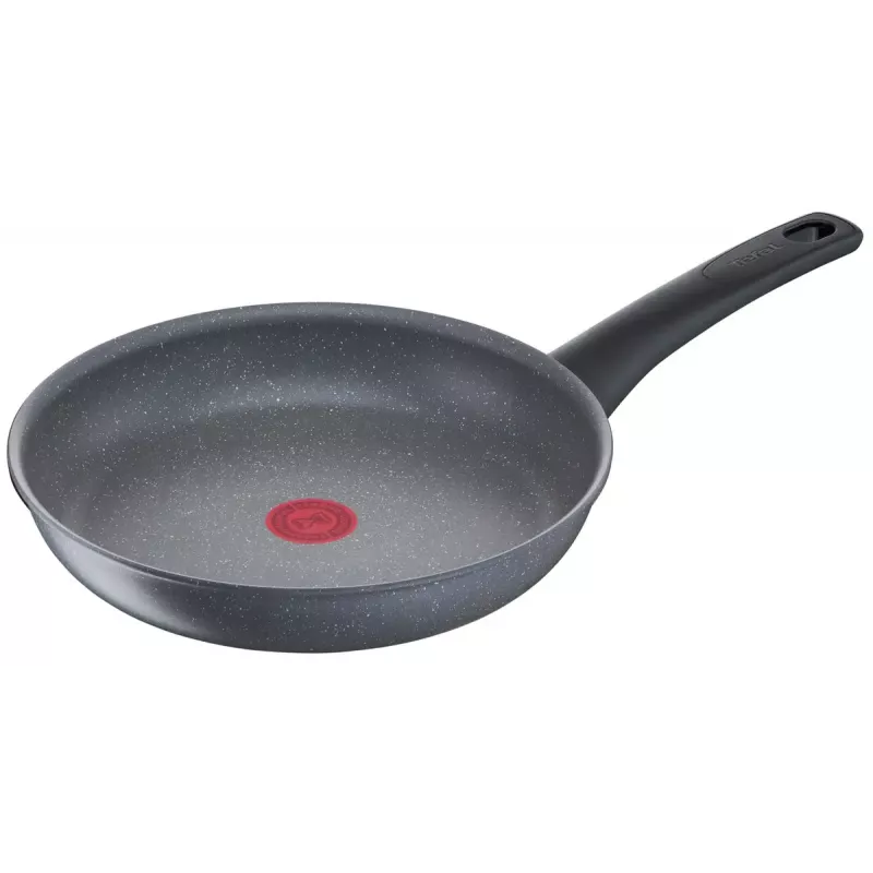 Universali keptuvė Tefal Healthy Chef G15004 apvali 24 cm pilka