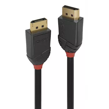 Lindy 36517 DisplayPort kabelis 2 m Juodas