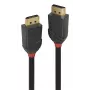 Lindy 36517 DisplayPort kabelis 2 m Juodas