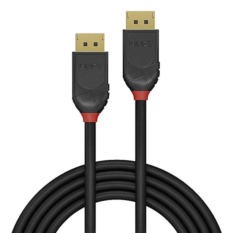 Lindy 36517 DisplayPort kabelis 2 m Juodas