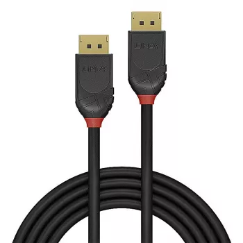 Lindy 36520 DisplayPort kabelis 1 m Juodas