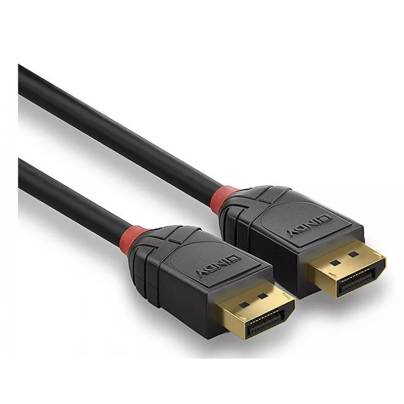 Lindy 36520 DisplayPort kabelis 1 m Juodas
