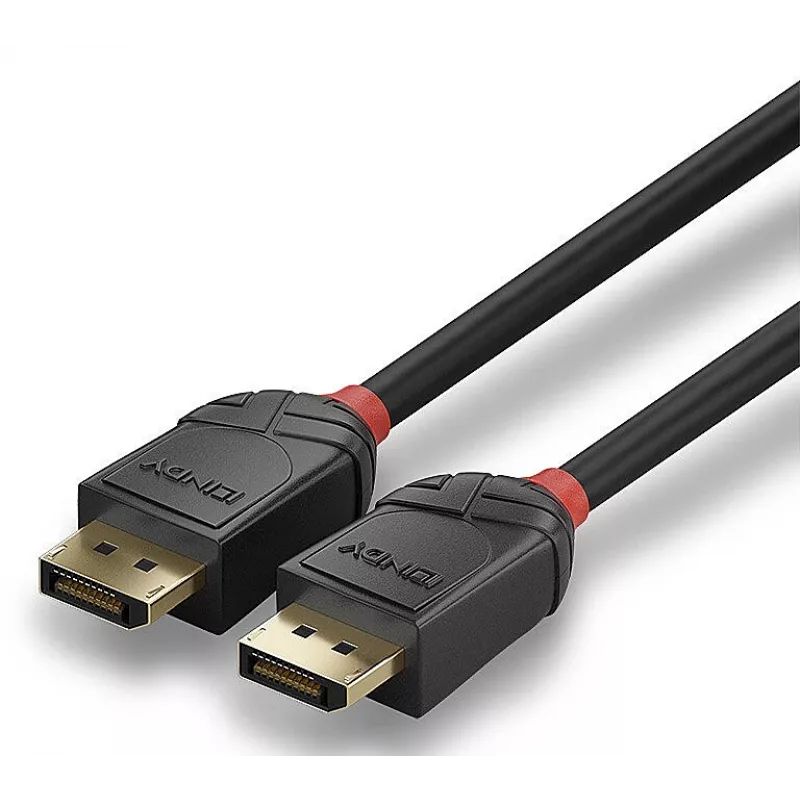 Lindy 36520 DisplayPort kabelis 1 m Juodas