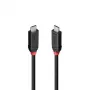 Lindy 2m USB4 240W Type C laidas, Black Line, 2 m, USB C, USB C, USB4 Gen 3x2, 40 Gbit/s, Juoda