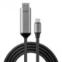 Lindy 43504 vaizdo kabelio adapteris 2 m USB Type-C DisplayPort pilkas