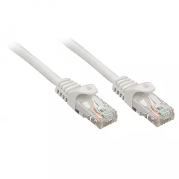 Lindy 48401 tinklo kabelis 1 m Cat5e U/UTP pilkas