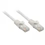 Lindy 48401 tinklo kabelis 1 m Cat5e U/UTP pilkas
