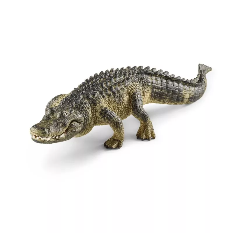 Figūrėlė Schleich WILD LIFE Aligatorius