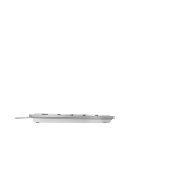 Klaviatūra Cherry KC 6000C FOR MAC, vielinė USB, QWERTY, žirkliniai jungikliai, sidabrinė, 1,8 m