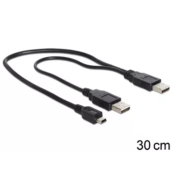 USB Y laidas DeLOCK 83178 USB 2.0 0,3 m 2 x USB A Juodas