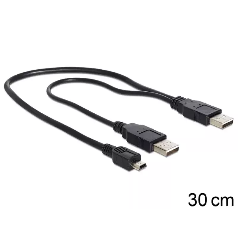 USB Y laidas DeLOCK 83178 USB 2.0 0,3 m 2 x USB A Juodas
